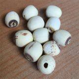 Lotus Seed Lotus Nut Lotus Kernel Dried Handmade White Lotus Seed Without Core Plumule thumbnail-4