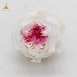 Preserved Rose Flowers Dried Flowers Birthday Valentine Party Wedding thumbnail-1