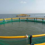 Floating Net Cage Polyethylene Aquaculture Cage System