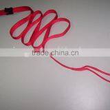 Pet Leash thumbnail-1