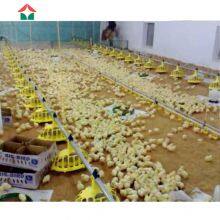 China Made Commercial Chicken House Used thumbnail-2