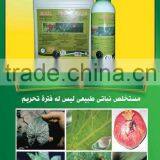 Tuta Absoluta thumbnail-3