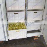 Automatic Sprouting Machine Supplier for Soybean,mung Bean,green Bean Sprouts thumbnail-4