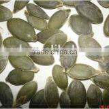 Jin No.1 No Shell Styrian Pumpkin Seeds