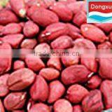 Red Skin Peanuts 50 60