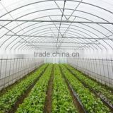 Greenhouse Film