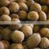 Matured Coconut For Sale From Kerala thumbnail-3