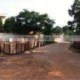 Commercial Plywood for Furniture thumbnail-5