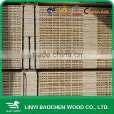 Laminated Veneer Lumber thumbnail-5