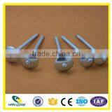 Hot Dipped Galvanized Roofing Nail With Ring Shank thumbnail-6