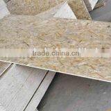 Best Quality Low Price 8mm OSB for Sale thumbnail-6
