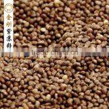 Delicious Chinese High Quality Peeling Perilla Seed thumbnail-5
