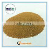 Alkaline protease enzyme