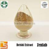 Whole Reishi Mushroom From Fresh Reishi Mushroom for Reishi Spore thumbnail-2