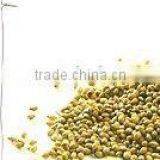 Coriander Seeds thumbnail-1