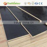 BS1088 Waterproof Laminated Marine Plywood for Trailer Boats and Docks