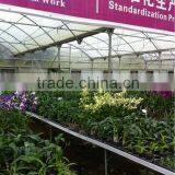 PC Sheet Greenhouse thumbnail-1