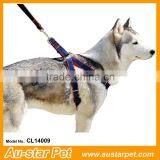 Branded Cheap Bulk Pet Supplies L Denim Pet Leashes