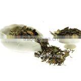 2016 Organic Best White Tea Brands White Tea thumbnail-3