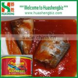 2014 New Crop round Canned Mackerel in round /oval can
