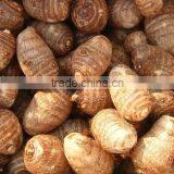 Top Grade Low Price Fresh Taro thumbnail-2