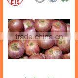 Export China Fresh Organic New Crop Red and Yellow Onion thumbnail-5