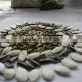 Wholesale Delicious Sunflower Seeds thumbnail-6