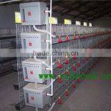 H type chicken farm broiler cages