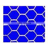 Hexagonal Wire Mesh