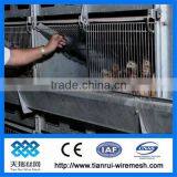 Poultry Cages TUV Certicification Hot Dipped Galvanized 20 Years Lifetime Layer Chicken Cages With Auto Water System thumbnail-1