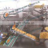 Canned Fruit Chain Slat Conveyer Machine Conveying System thumbnail-1