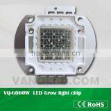 60W High Power Multiband LED Grow Light Chip