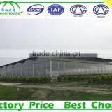 Agriculture economic and efficient UV-anti film poly tunnel greenhouse