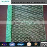 Hebei Galvanized Hexagonal Wire Mesh Crawfish Wire Mesh