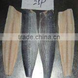 Frozen Spanish Mackerel Fillet thumbnail-5