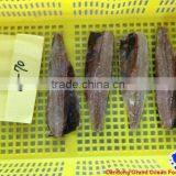 Seafood Frozen Herring Fillet thumbnail-1
