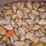 Seafood Frozen Cooked Fresh Mussel Meat thumbnail-1