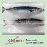 New Processing White Belly Mackerel Lot Number#kmw4009 thumbnail-1