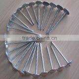 High Quality Umbrella Head Galvanized Roofing Nail thumbnail-2