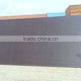 Film Faced Plywood for Concrete Formwork thumbnail-2