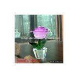 Sell Crystal Plant Bottle thumbnail-1