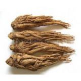 Angelica sinensis Extract