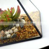 Geometric Terrarium Geometric Glass Terrarium Wholesale thumbnail-5
