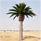 Artificial Date Palm thumbnail-5