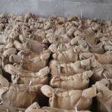 ​Umbrella Roofing Nails Stainless Steel Roofing Nails Concrete Nail Distributor Wholesale Common Nails thumbnail-2