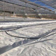 Black White Greenhouse Film Light Deprivation Poly Film Agriculture Blackouts Film thumbnail-4