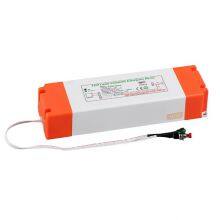 DF168T External LED Emergency Power Supply With Lithium Iron Phosphate Battery, Built-in Non-isolated Downlight and Linear Light thumbnail-4