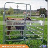 Australia Galvanized Cattle Panel In Farm (Factory Trade Assurance)