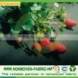 Weed Control Fabric, Ground Cover, PP Spunbond Non Woven Landscape Fabric thumbnail-3