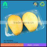 500ml Disposable Blister Plastic PET Food Tray/PET Plastic Tray for Food thumbnail-3